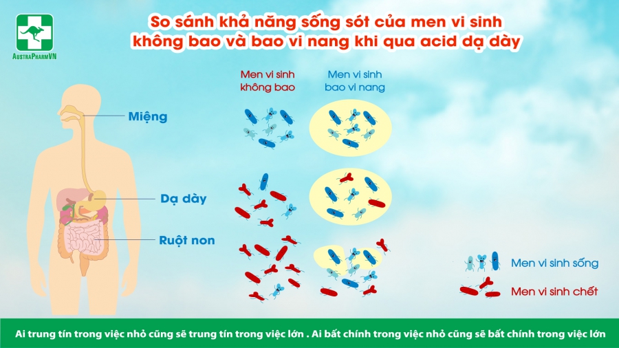 VỊ THẾ NHÀ MÁY MEN VI SINH ỨNG DỤNG CÔNG NGHỆ CAO ĐẦU TIÊN NGÀNH DƯỢC VIỆT NAM